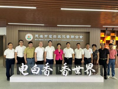 电白区沉香工联会揭牌｜凝聚产业力量，共促“香都”发展