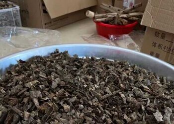 顶级超黑爆油奇楠货粒