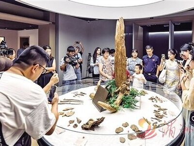 仙游沉香博物馆｜传承悠久厚重的香文化 解锁文旅新体验