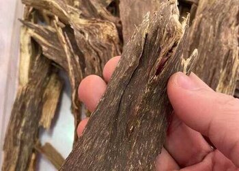 海南天然野两面到肉棋皮排油