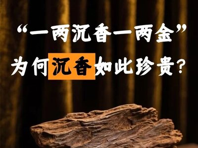 沉香产业的跨境新机遇
