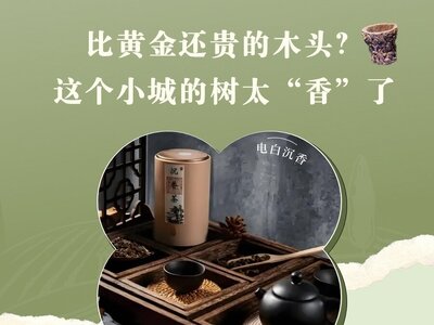 比黄金还贵的木头？这个中国小城种出了泼天的富贵