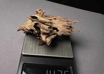 九分沉的海南文昌虫漏老香，2块14克