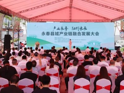 永春召开沉香产业发展交流会 赋能产业发展