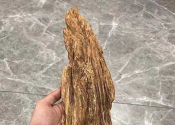 野生达拉干沉香摆件