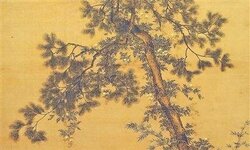 就一块木头 为何价比黄金