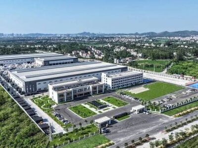 高州1.3万亩产业筑巢大见成效，电白沉香生产一体化项目