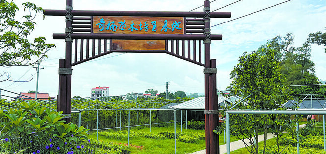 沉香产业成为广东林业新增长点