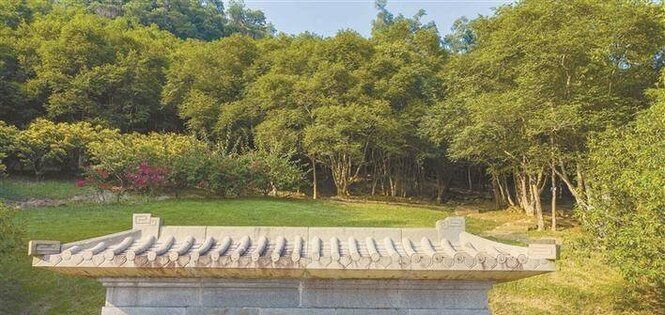 香港回归纪念林｜28载沉香树见证深港情谊