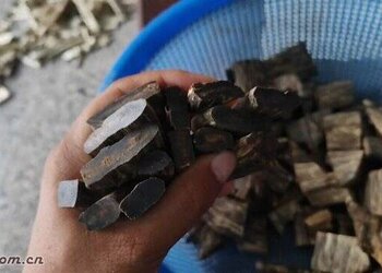 海南种植奇楠沉香沉水珠子手串料块