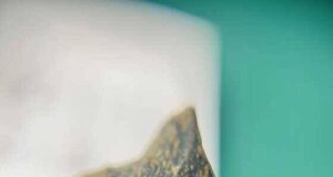 一块老海南沉水厚肉包头