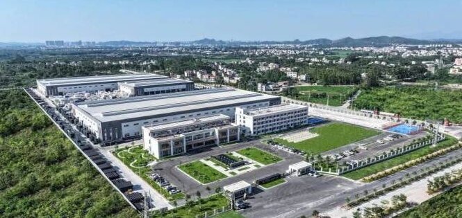 高州1.3万亩产业筑巢大见成效，电白沉香生产一体化项目