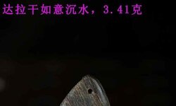 达拉干如意沉水，3.41克