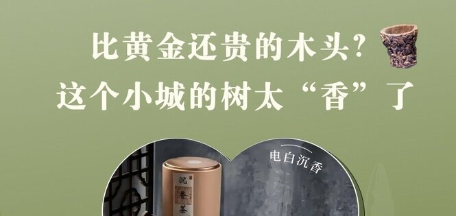 比黄金还贵的木头？这个中国小城种出了泼天的富贵