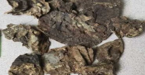 百年土沉，稀奇海南土熟老包，顶级海南味道！