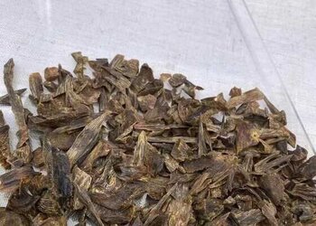 海南精品白奇楠沉水碎料
