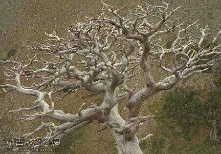 u=2715679245,2841048929&fm=173&app=25&f=JPEG