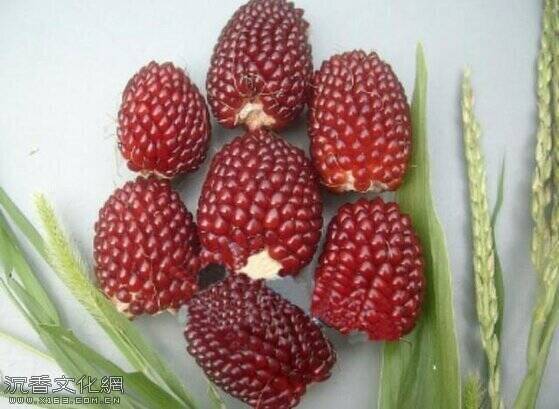 u=3683195327,3465887103&fm=173&app=49&f=JPEG
