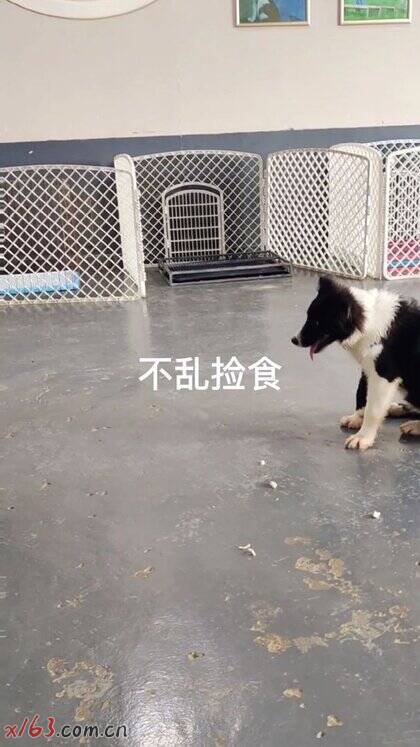 04_爱奇艺.jpg