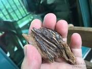 此好香转发朋友圈所看到的