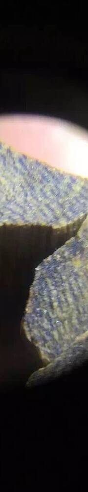 惠州绿奇楠