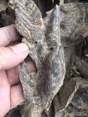 海南黑油厚肉沉香壳子