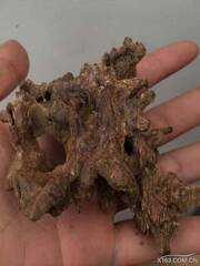 海南虫漏沉香
