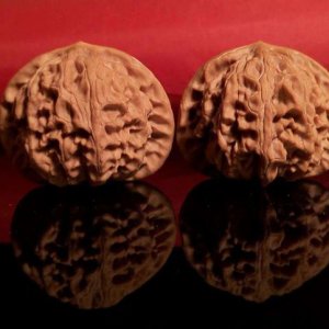 教你文玩核桃的收藏鉴赏与保养