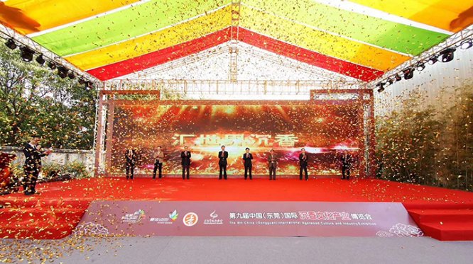 10周岁的东莞香博会将展示中国沉香行业建设十年成果