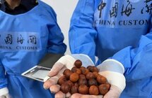 广州海关查获从东南亚进口的210千克紫檀制品！属濒危物种