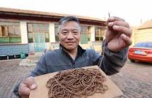 谷俊明｜传统制香技艺传承人带非遗手工香活态技艺传承进校园