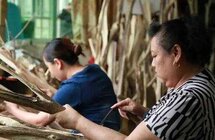 红河哈尼族彝族自治州，沉香特色产业基地及精深加工项目建设