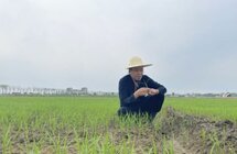 赵秋实｜陕西大叔独居山中，传承200年祖传制香手艺！