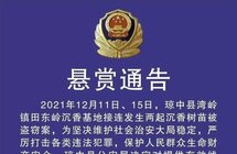 最高5万元！海南发布悬赏通告，盗窃沉香树苗案