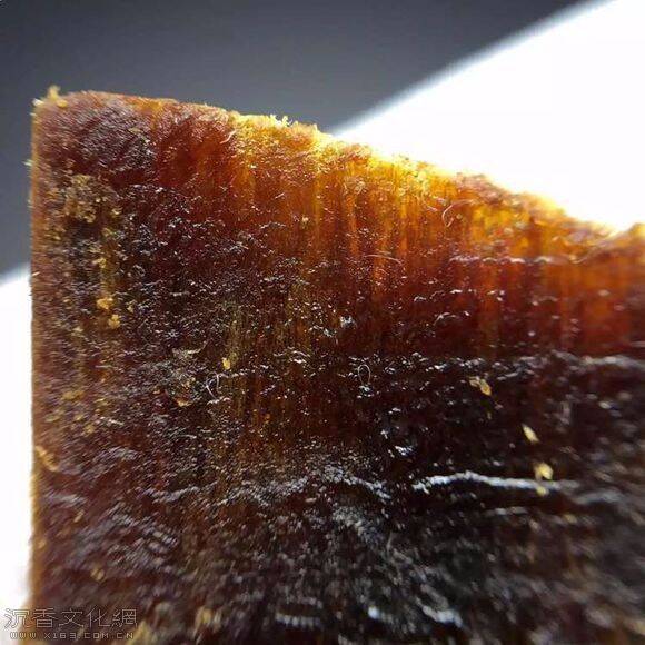 沉香的油脂是什么？沉香油脂由何而来?