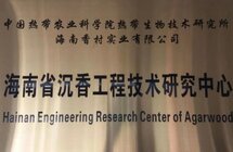 海南沉香产业发展战略研究