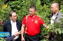 阳春市潭水镇东湖村以“一村一品”沉香带领村民致富