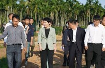 高标准高水平打造沉香之乡 让屯昌沉香“香”满城