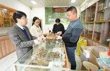 广西唯一！自治区级沉香产业现代化示范区落户北流
