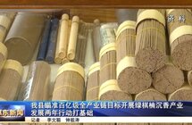 惠东县瞄准百亿级全产业链目标开展绿棋楠沉香产业发展两年行动打基础