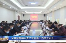 惠东全县绿棋楠沉香产业发展工作会议召开
