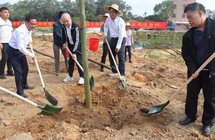 电白区四套班子领导带头参加义务植树活动，种下沉香树苗共建美丽家园