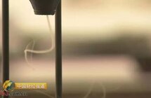 "烧"钱上百万 只为一缕烟~