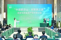 遗迹考古、园区开发、学术研讨，蒙顶山这样打好茶文化牌