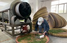 高淳东坝傅家坛村：发展特色茶产业 家家户户采茶忙