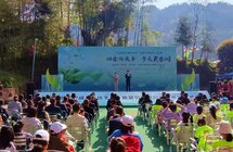 游茶乡、趣采茶、悟茶艺......咸丰黄金洞乡硒茶文化活动开幕