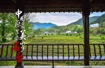春茶无限好，采茶正当时