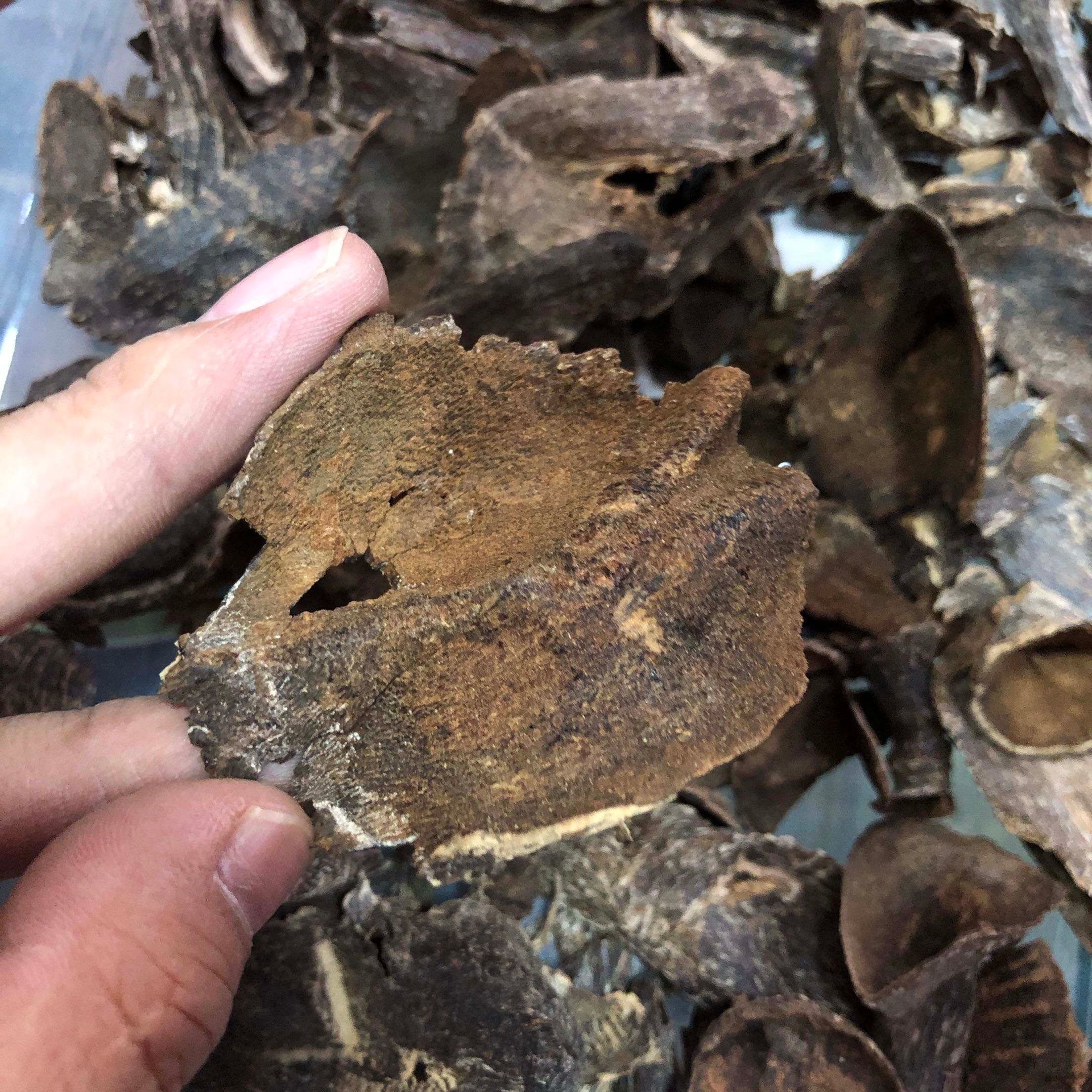 沉香能用来泡水喝？泡水有功效？
