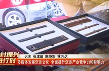多载体发展沉香文化 全面提升沉香产业竞争力和影响力