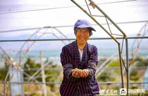 好品山东丨黄金海岸出好茶 “海阳绿茶”香飘远